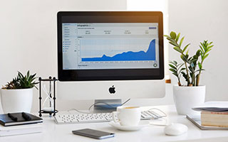 多国体育组织与社交媒体公司合作打击性别歧视言论